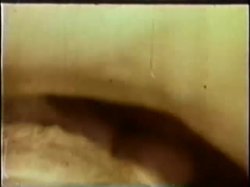 Captura de 'Peepshow Loops (Swedish) 417: '70s to '80s (All Color)' nº 111