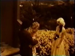 Captura de 'Peepshow Loops (Swedish) 417: '70s to '80s (All Color)' nº 125