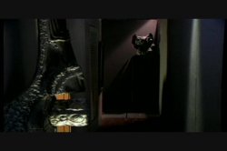 Captura de 'Jenteal Loves Rocco' nº 67