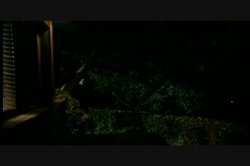 Captura de 'Jenteal Loves Rocco' nº 113
