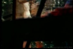 'Forbidden Worlds' screenshot nº 27