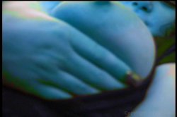 'Chunky Chicks 9' screenshot nº 101