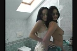 'Rocco: Animal Trainer 10' screenshot nº 4