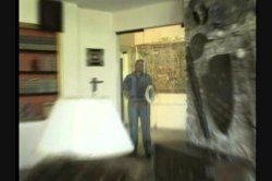 'Rocco: Animal Trainer 10' screenshot nº 130