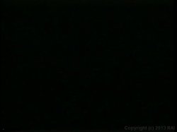 'Loads of Fun 3' screenshot nº 29