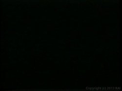 'Loads of Fun 3' screenshot nº 30