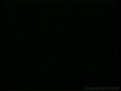 'Loads of Fun 3' screenshot nº 31