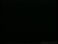 'Loads of Fun 3' screenshot nº 49