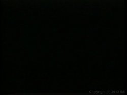 'Loads of Fun 3' screenshot nº 50