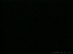 'Loads of Fun 3' screenshot nº 68