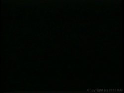 'Loads of Fun 3' screenshot nº 108