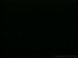 'Loads of Fun 3' screenshot nº 18