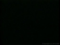 'Loads of Fun 3' screenshot nº 19