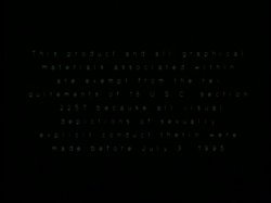 Captura de 'Peepshow Loops 415: '70s & '80s (All Color)' nº 1