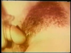 Captura de 'Peepshow Loops 415: '70s & '80s (All Color)' nº 115