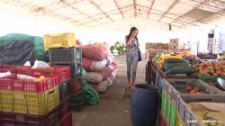 Captura de 'Carne Del Mercado 12' nº 1