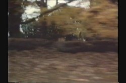 'Naked Scent' screenshot nº 11