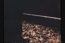 'Naked Scent' screenshot nº 23