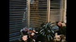 Captura de 'Naughty Nanette' nº 11