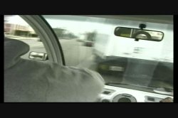 Captura de 'Mr. Bigg and His Bitches 7' nº 4