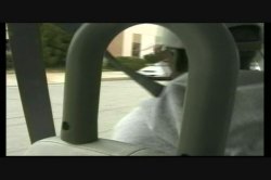Captura de 'Mr. Bigg and His Bitches 7' nº 5