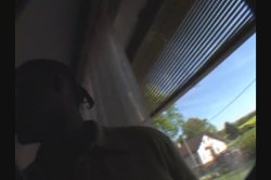 Captura de 'All Amateur Video 29' nº 103