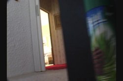 Captura de 'All Amateur Video 29' nº 109