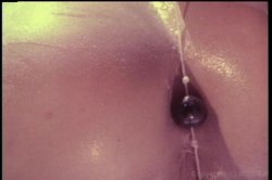 'Deep Inside Debi Diamond' screenshot nº 97
