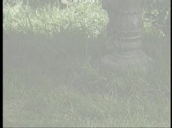 'Perversions 2' screenshot nº 140