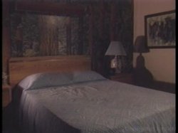 Captura de 'Tail for Sale' nº 2
