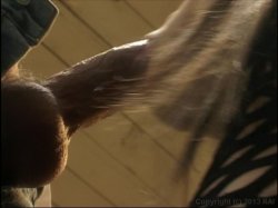 Captura de 'Biker Chicks Cum Easy 2' nº 38