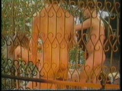 'Superstars of Porn: Racquel Darrian' screenshot nº 27