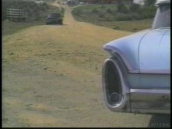 'Superstars of Porn: Racquel Darrian' screenshot nº 1