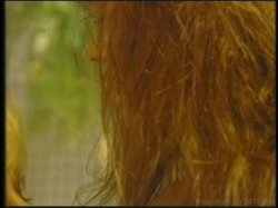 'Superstars of Porn: Racquel Darrian' screenshot nº 115