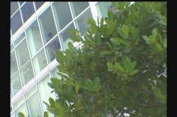 'Filthy's Peepin' Tom' screenshot nº 8