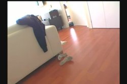 'Filthy's Peepin' Tom' screenshot nº 10