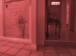 'Dynamic Booty #3' screenshot nº 60