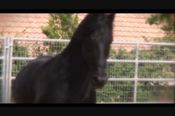 'Sophia' screenshot nº 63