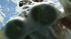 Captura de 'My Dad's Secret Perversion' nº 41