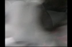 Captura de 'Private XXX Vol. 10' nº 77