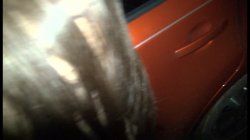 Captura de 'Boondock Sluts 5 - AVN Adventures' nº 87