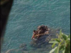'Rich Bitch' screenshot nº 6