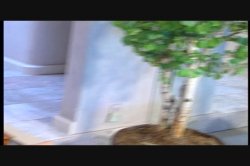 'Finger Pleasures 11' screenshot nº 89