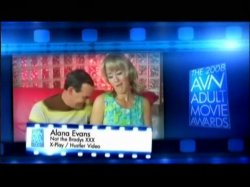 '2008 AVN Adult Movie Awards' screenshot nº 34