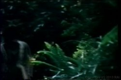'Seka: Platinum Superstar' screenshot nº 110