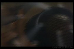 'Real Time Tits' screenshot nº 100