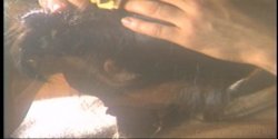 Captura de 'Young Asian Anal Party' nº 71