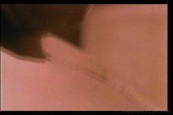 'Best of Victoria Paris, The' screenshot nº 32