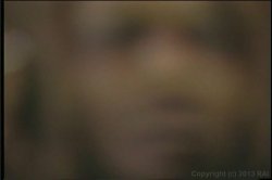 'American Booty' screenshot nº 57