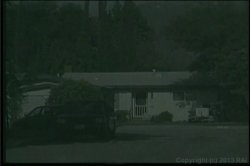 'American Booty' screenshot nº 7